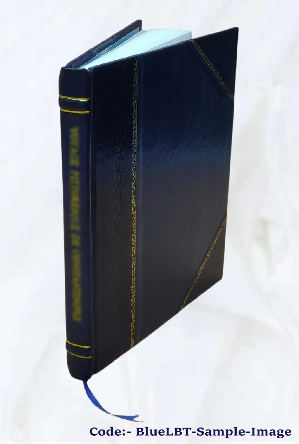 ein des versuch jahrhunderts; 1920 seschzehnten wiederaufbaus meistersingerbühne [Leather Die Bound]