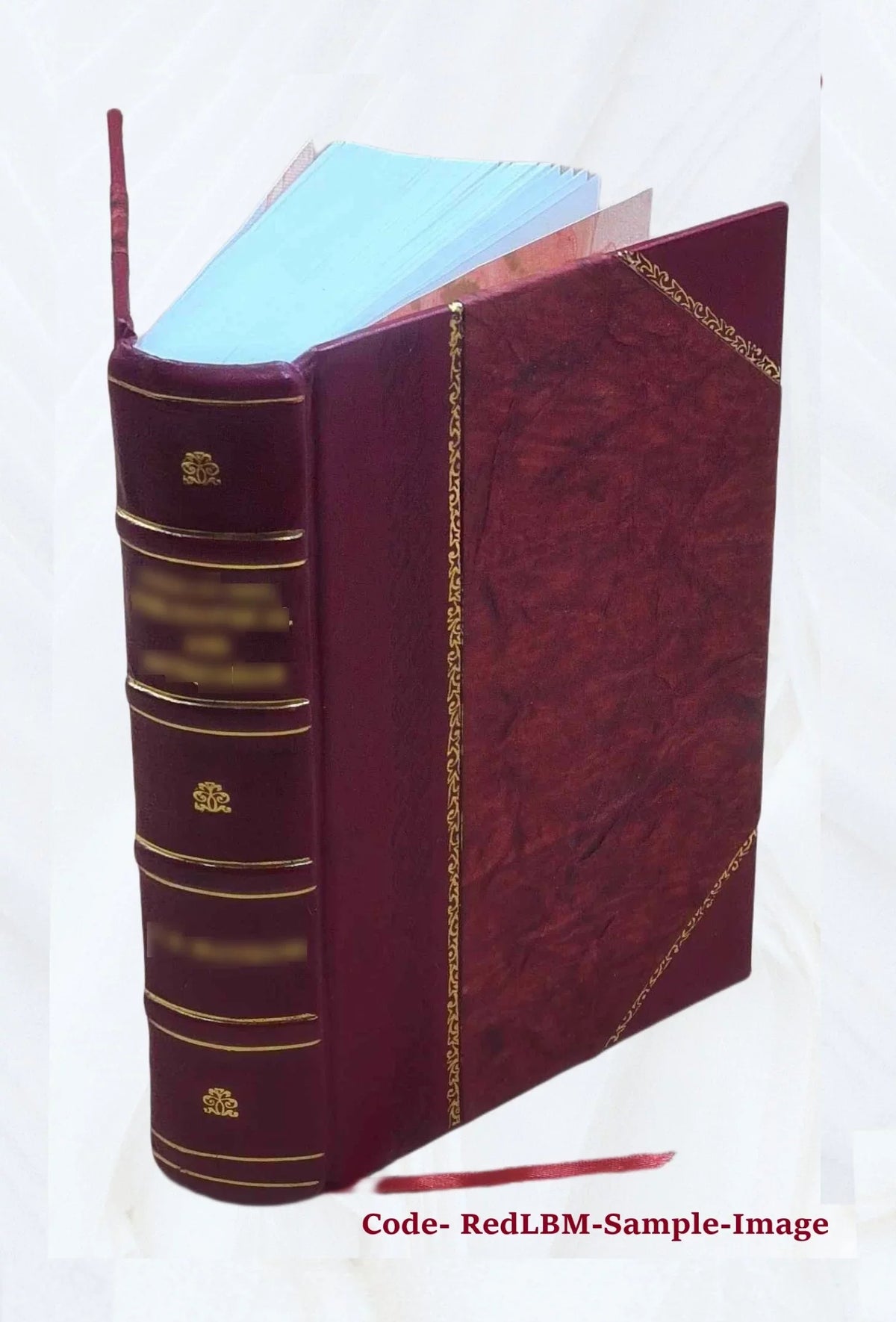 [Leather settlement the : and to of city, Newton, Massachusetts present 1630-1880 from town earliest time, Bound] 1880 History its